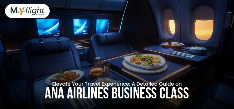 Elevate Your Travel Experience A Detailed Guide on ANA Airlines Business Class
